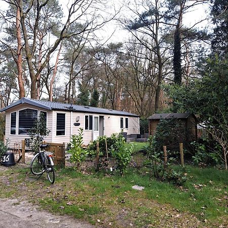 Ruim Chalet, Midden In Het Bos! Nunspeet Exteriér fotografie