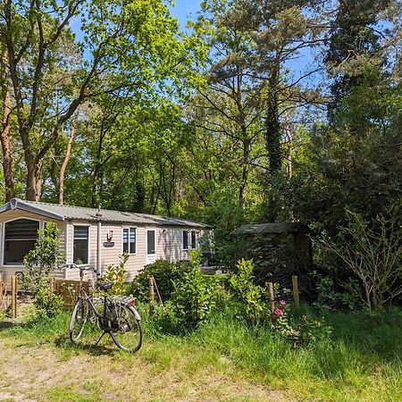 Ruim Chalet, Midden In Het Bos! Nunspeet Exteriér fotografie